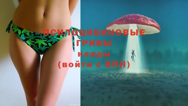 каннабис Алзамай