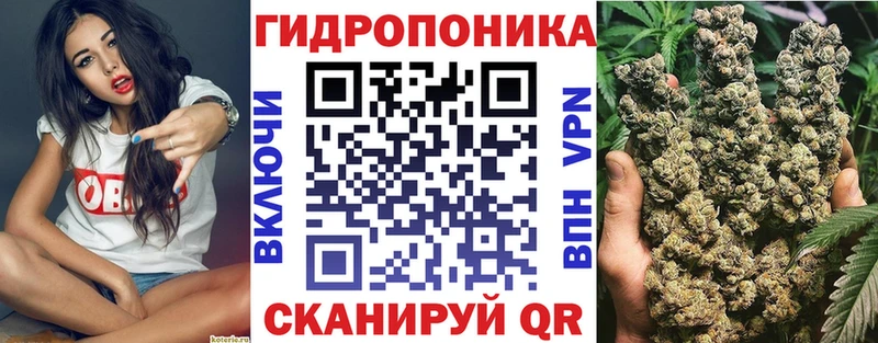 МАРИХУАНА ГИДРОПОН Кызыл